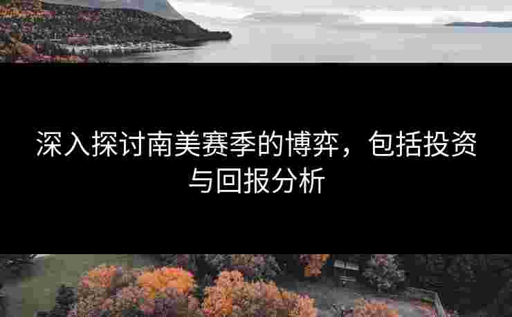 深入探讨南美赛季的博弈，包括投资与回报分析